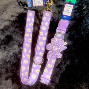 Top Paw Lavender Daisy Dog Collar (L) w/Matching Leash 4ft